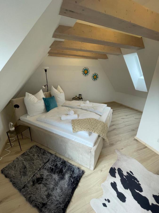 Am Exklusives Loft Mit 3 Schlafzimmern, Netflix, Zentral, Parkplatz Amberg Extérieur photo